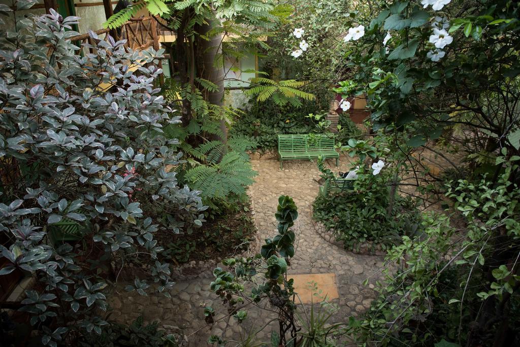 Hostal Dona Chava Pedernales Extérieur photo